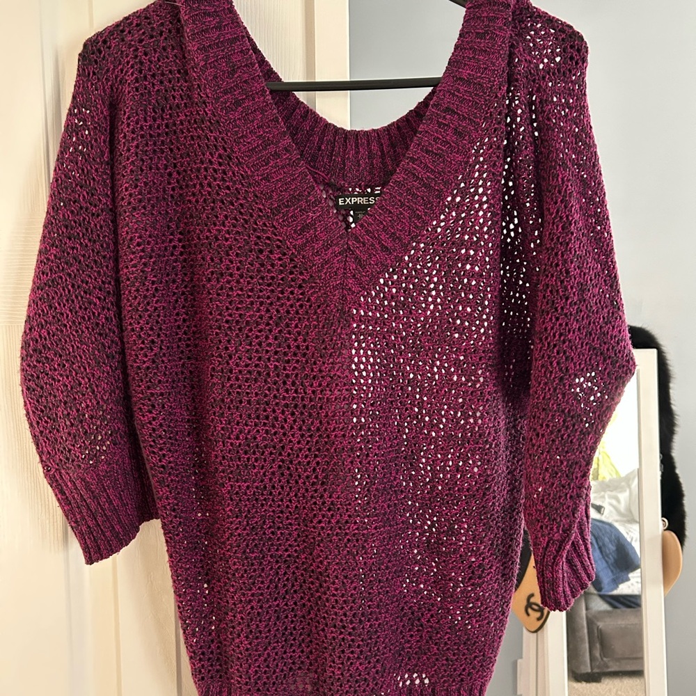 Express Women's Deep Purple V-Neck Sweater